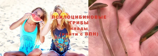 соль ск Вязники