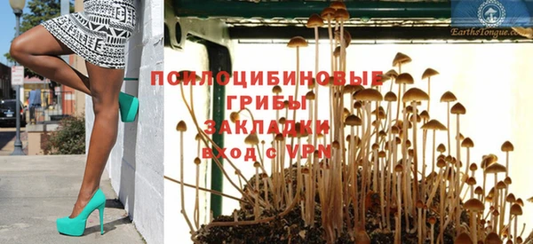 кокс Вяземский