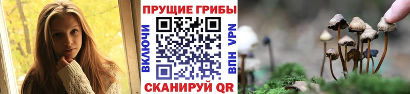 Купить где  Нюрба  Галлюциногенные грибы Magic Shrooms 