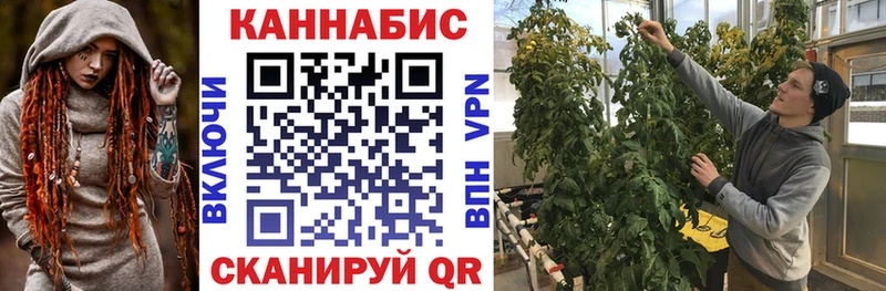 Купить закладки  Нюрба  Бошки Шишки THC 21% 